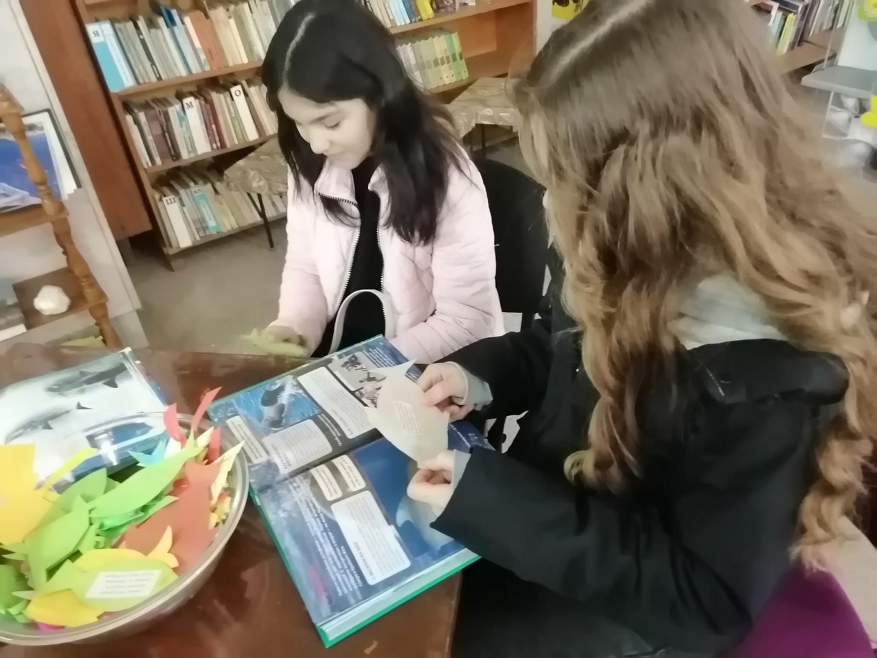Централизованная библиотечная система Красноперекопского района