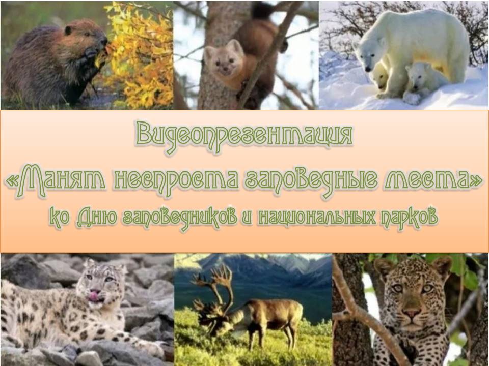 Централизованная библиотечная система Красноперекопского района