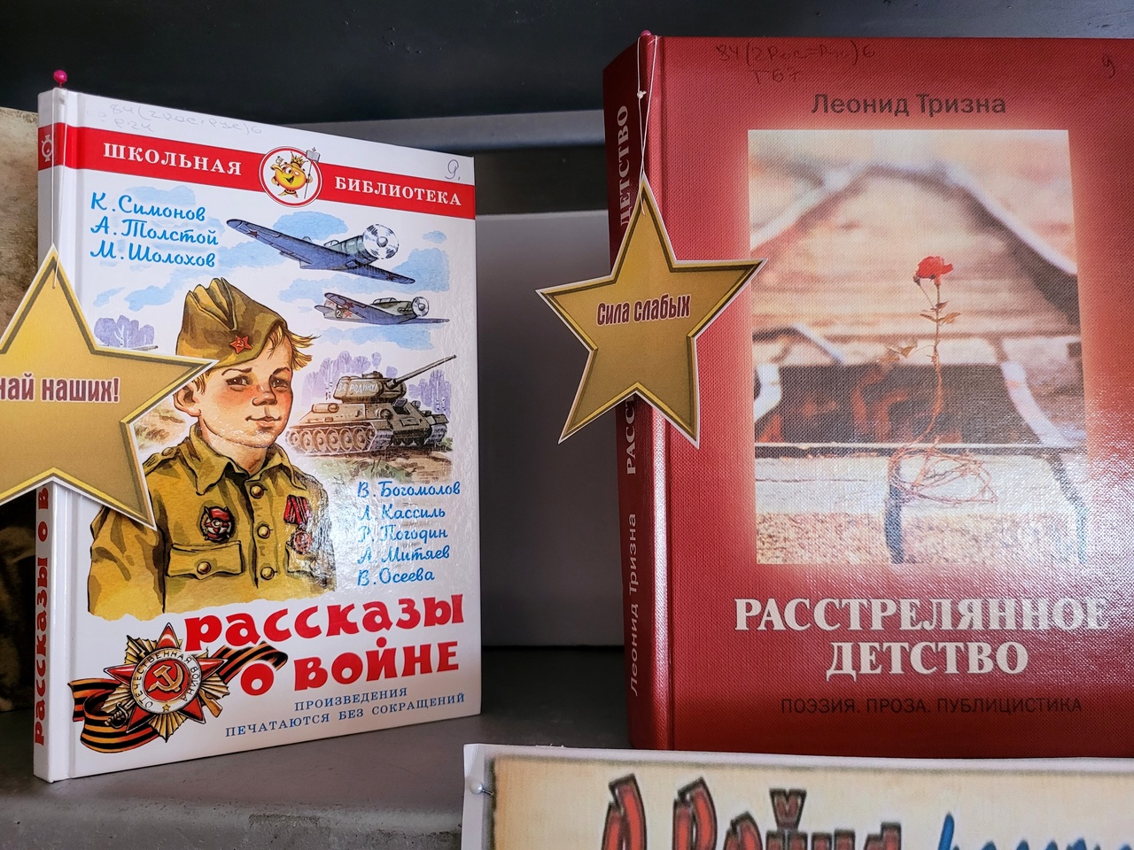 Централизованная библиотечная система Красноперекопского района