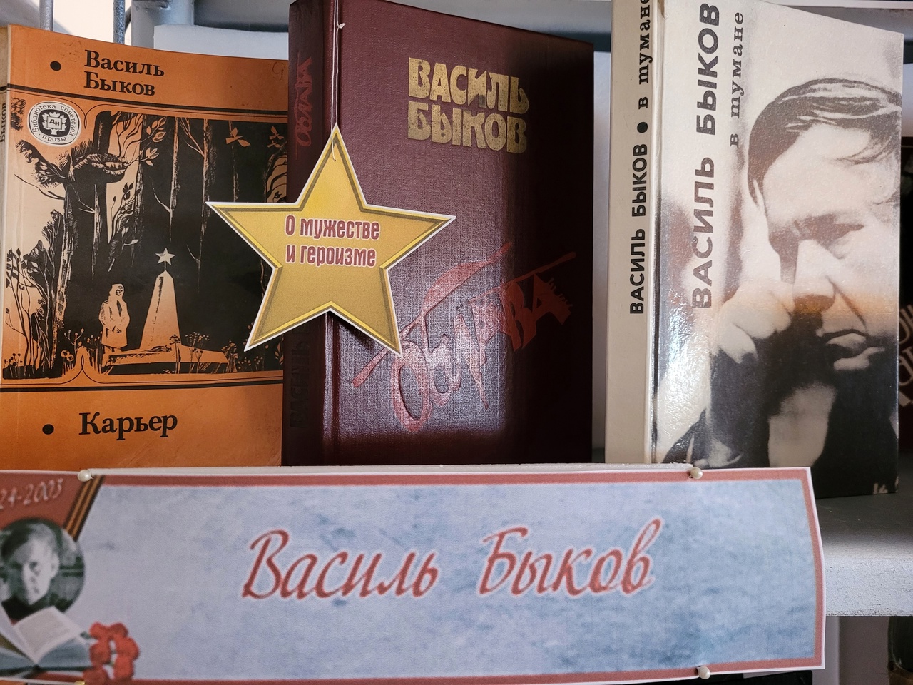 Централизованная библиотечная система Красноперекопского района