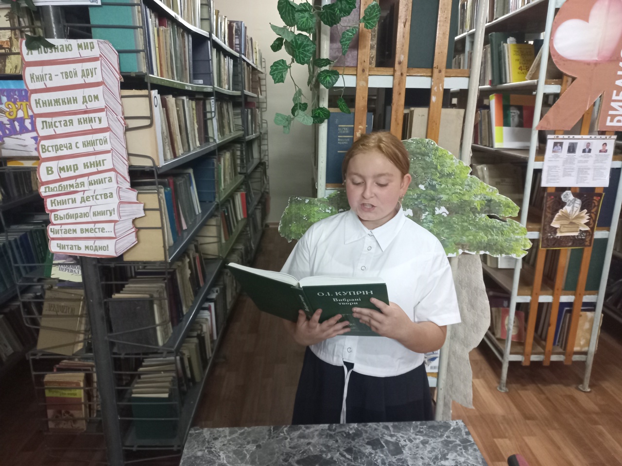Централизованная библиотечная система Красноперекопского района